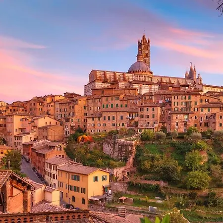 Apartament Fuga D'archi *